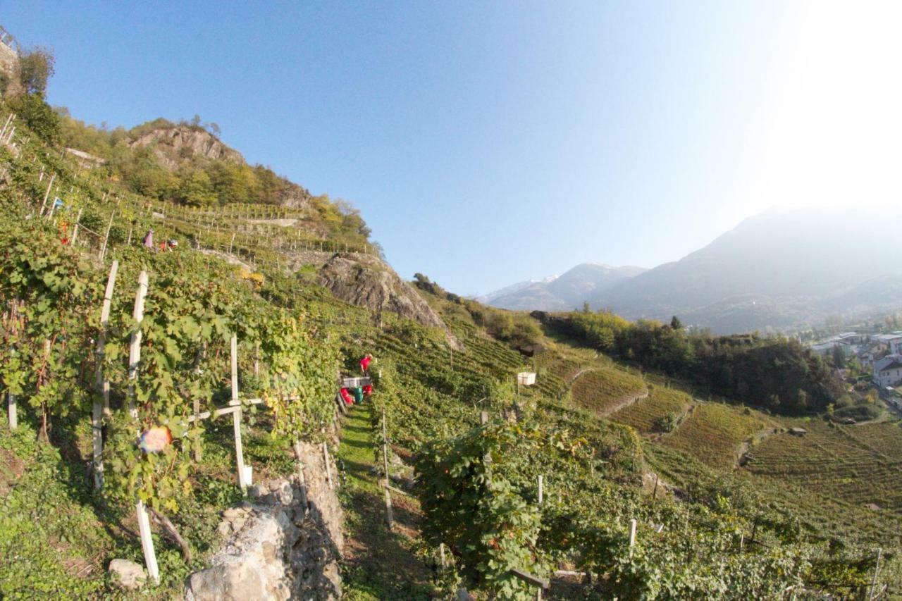 Winebnb ซอนดริโอ ภายนอก รูปภาพ